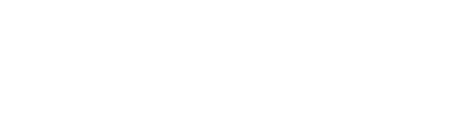 SDi - Digital Group - Horizontal Blanco