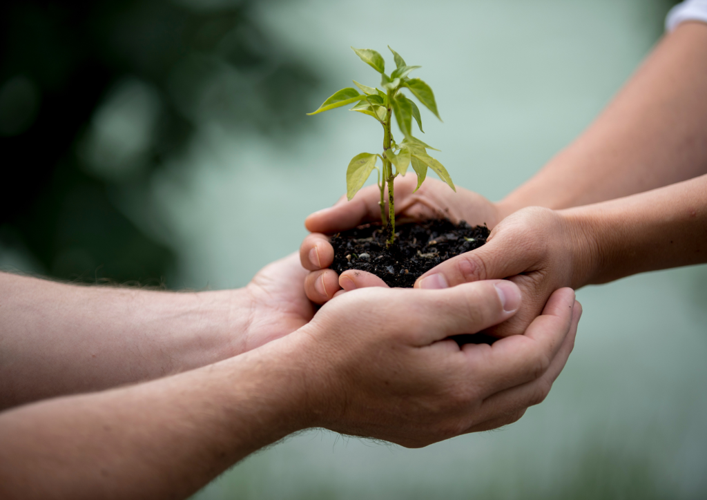 Ayuda para la creación de cooperativas agrarias en Euskadi