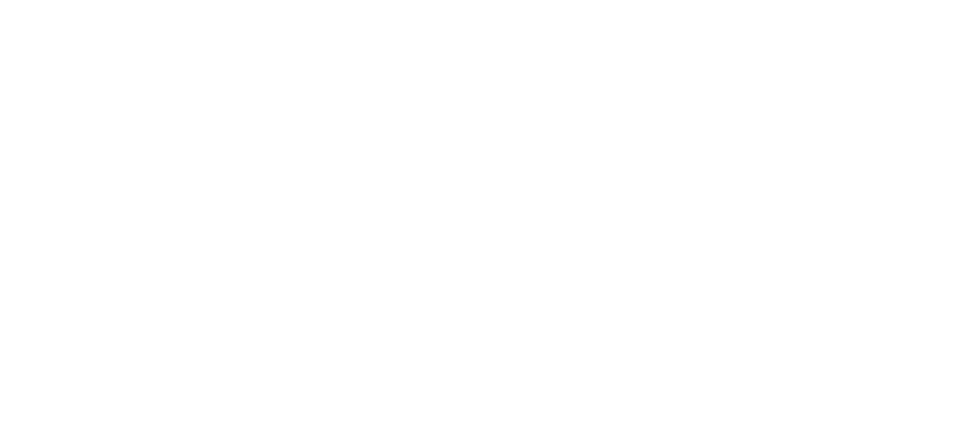 SDi Logo - Blanco